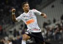 pedrinho firuleiros